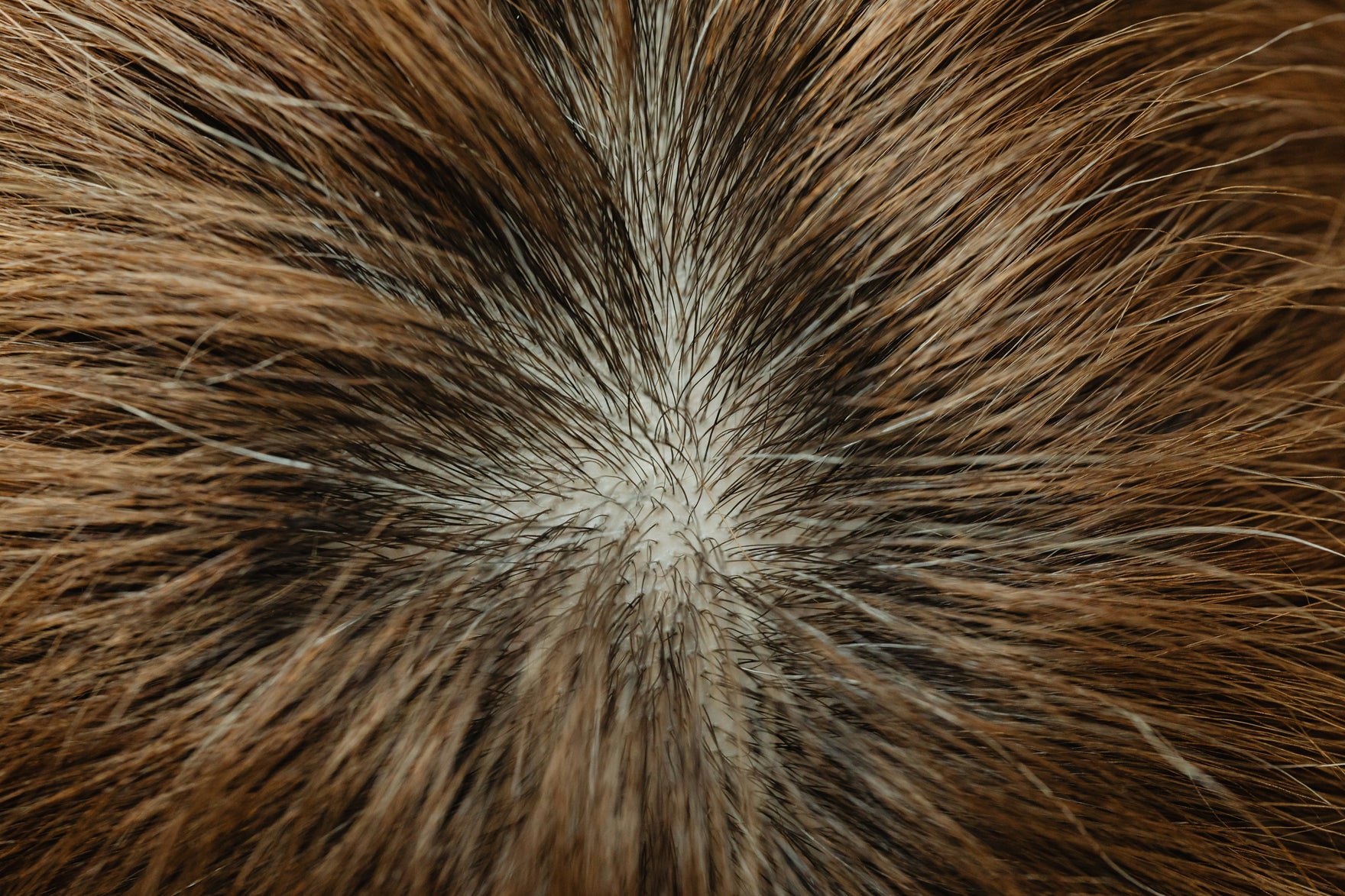 Why Your Hair Is Thinning, and What Castor Oil Actually Does About It - Aumenta