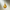 Golden droplet of pure Brazilian castor oil – rich in nutrients for nourishing hair, skin, and lashes